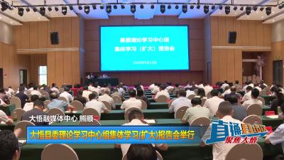 【直通县市区】大悟县委理论学习中心组集体学习(扩大)报告会举行