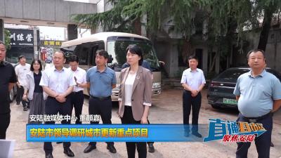 【直通县市区】安陆市领导调研城市更新重点项目