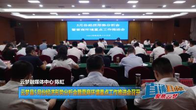【直通县市区】云梦县5月份经济形势分析会暨营商环境重点工作推进会召开