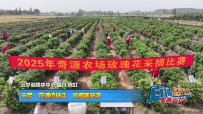 【直通县市区】云梦：花满俏枝头 采摘趣味浓