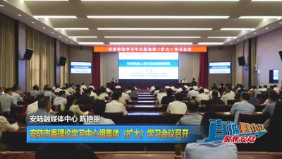 【直通县市区】安陆市委理论学习中心组集体（扩大）学习会议召开