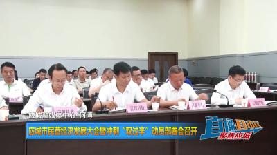 【直通县市区】应城市民营经济发展大会暨冲刺“双过半”动员部署会召开
