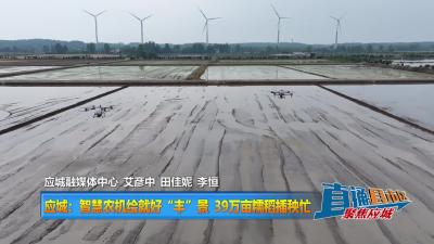【直通县市区】应城：智慧农机绘就好“丰”景 39万亩糯稻插秧忙
