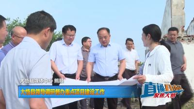 【直通县市区】大悟县领导调研督办重点项目建设工作