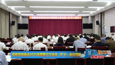 【直通县市区】安陆市安委会2025年度第三次全体（扩大）会议召开