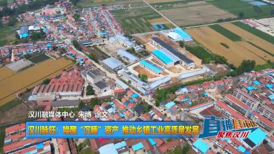 【直通县市区】汉川脉旺：唤醒“沉睡”资产 推动乡镇工业高质量发展
