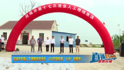【直通县市区】应城市开展人工增殖放流活动 420万尾鱼苗“入住”龙赛湖