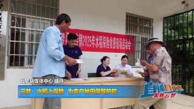 【直通县市区】云梦：水稻上保险 为农户种田保驾护航