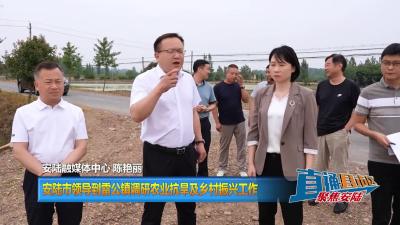 【直通县市区】安陆市领导到雷公镇调研农业抗旱及乡村振兴工作