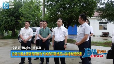 【直通县市区】安陆市委主要领导调研学习教育开展情况并讲授专题党课