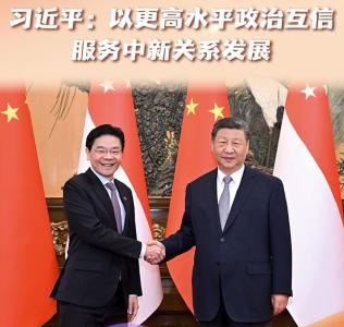   【讲习所·中国与世界】习近平：以更高水平政治互信服务中新关系发展-国际在线 