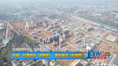 【直通县市区】 应城：拉满项目“进度条” 跑出建设“加速度”