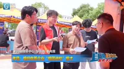 【直通县市区】孝昌：组织优质企业“组团进校”揽才