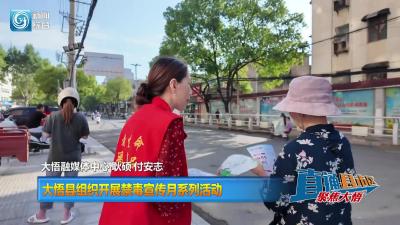 【直通县市区】大悟县组织开展禁毒宣传月系列活动