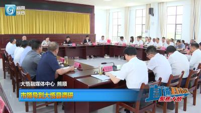 【直通县市区】市领导到大悟县调研
