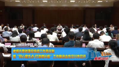 【直通县市区】孝感市贯彻落实统战工作责任制暨“同心建支点·打造增长极”工作推进会在汉川市召开