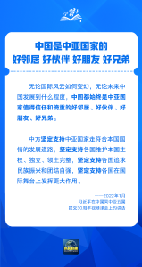 学习卡丨世界需要一个什么样的中亚？