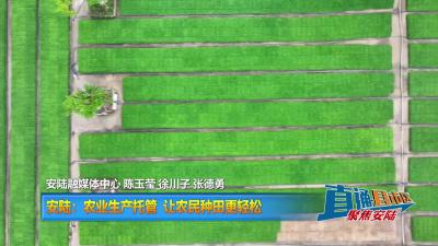 【直通县市区】安陆：农业生产托管让农民种田更轻松