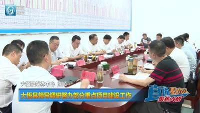 【直通县市区】大悟县领导调研督办部分重点项目建设工作