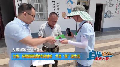 【直通县市区】大悟：开展蔬菜基地专项抽检 共享“蔬”适生活