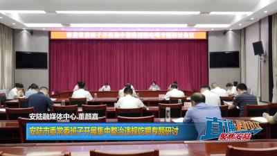 【直通县市区】安陆市委常委班子开展集中整治违规吃喝专题研讨