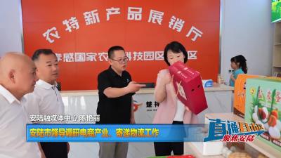 【直通县市区】安陆市领导调研电商产业、寄递物流工作