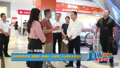 【直通县市区】安陆市领导开展“解难题、稳增长、促发展”企业帮扶走访活动