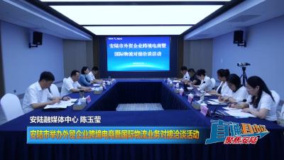【直通县市区】安陆市举办外贸企业跨境电商暨国际物流业务对接洽谈活动