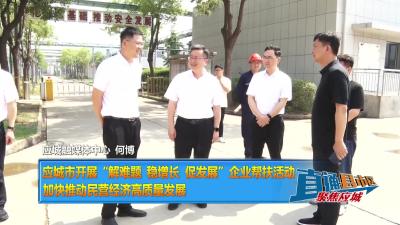 【直通县市区】应城市开展“解难题、稳增长、促发展”企业帮扶活动  加快推动民营经济高质量发展