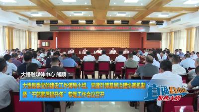 【直通县市区】大悟县委党的建设工作领导小组、党建引领基层治理协调机制暨“干部素质提升年”专题工作会议召开