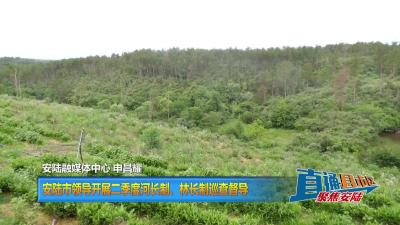 【直通县市区】安陆市领导开展二季度河长制、林长制巡查督导