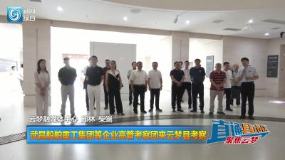 【直通县市区】武昌船舶重工集团等企业高管考察团来云梦县考察