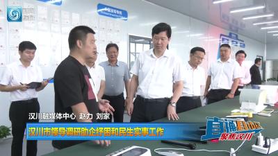 【直通县市区】汉川市领导调研助企纾困和民生实事工作