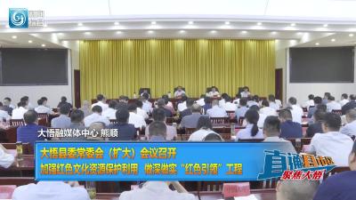 【直通县市区】大悟县委常委会（扩大）会议召开 加强红色文化资源保护利用  做深做实“红色引领”工程
