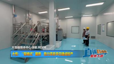 【直通县市区】大悟：“保姆式”服务  助力项目早日建成投产
