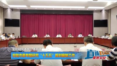 【直通县市区主】安陆市委专题研究“十五五”规划编制工作
