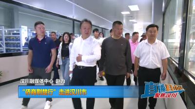 【直通县市区】“侨商荆楚行”走进汉川市