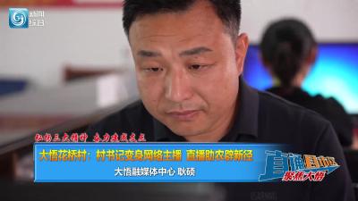 【直通县市区】弘扬三大精神 奋力建成支点 大悟花桥村：村书记变身网络主播 直播助农辟新径