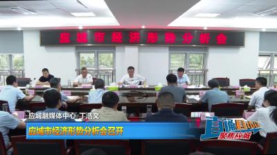 【直通县市区】应城市经济形势分析会召开