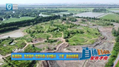 【直通县市区】朱湖湿地：生态保护+文旅升级+乡村振兴“三笔”融合绘新卷