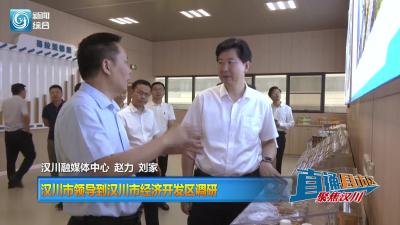 【直通县市区】汉川市领导到汉川市经济开发区调研