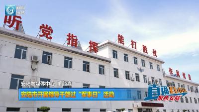 【直通县市区】安陆市开展领导干部过“军事日”活动