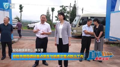 【直通县市区】安陆市领导调研重点景区与地质灾害点防治工作