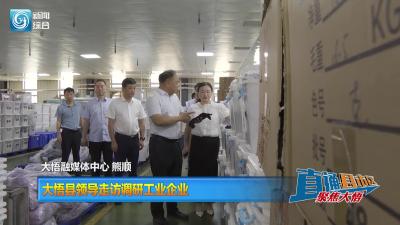 【直通县市区】大悟县领导走访调研工业企业
