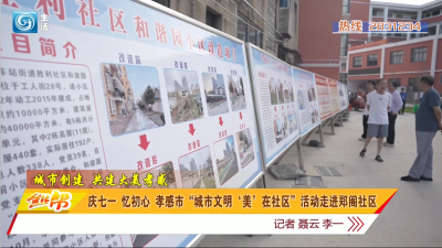 庆七一 忆初心 孝感市“城市文明‘美’在社区”活动走进郑阁社区