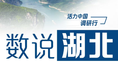 活力中国调研行丨湖北扛牢挑大梁责任