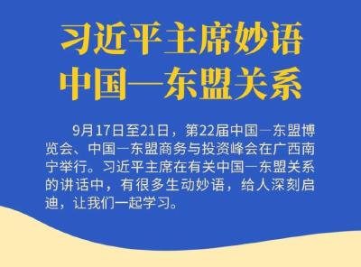 学习进行时丨习近平主席妙语中国—东盟关系