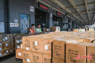 花湖八日——在跑道、在直播间、在百姓餐桌，看见一张通达全球的网