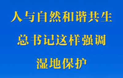 第一观察 | 人与自然和谐共生，总书记这样强调湿地保护