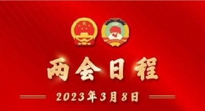 两会日程预告丨3月8日：人代会审议全国人大常委会工作报告等 政协举行小组会议